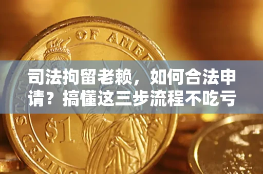 济南司法拘留老赖，如何合法申请？搞懂这三步流程不吃亏！