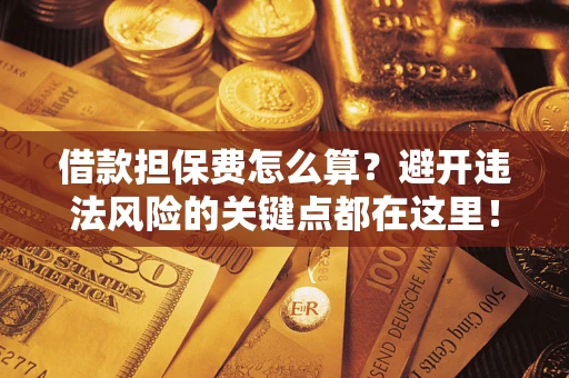 济南借款担保费怎么算？避开违法风险的关键点都在这里！