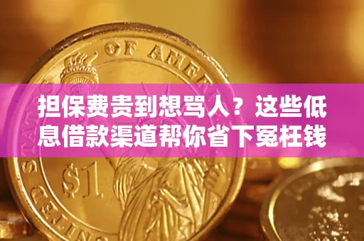 济南担保费贵到想骂人？这些低息借款渠道帮你省下冤枉钱