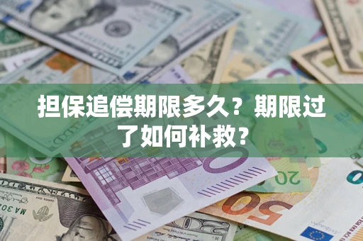 济南担保追偿期限多久？期限过了如何补救？