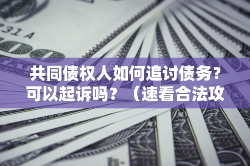 济南共同债权人如何追讨债务？可以起诉吗？（速看合法攻略）