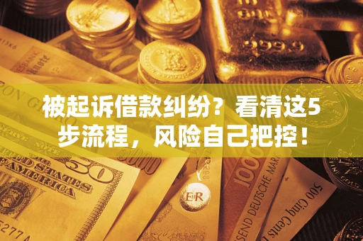 济南被起诉借款纠纷？看清这5步流程，风险自己把控！