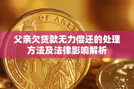 济南父亲欠贷款无力偿还的处理方法及法律影响解析